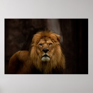 The Stare Poster