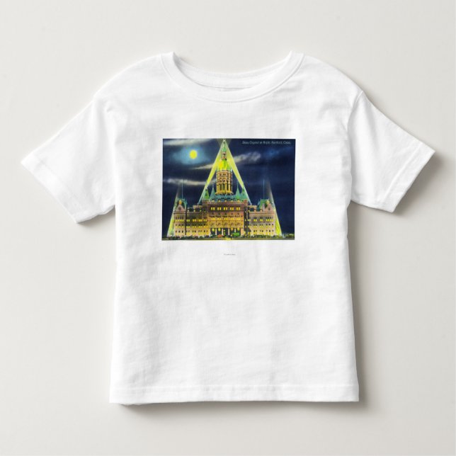 The State Capitol Building at Night Toddler T-Shirt (Front)
