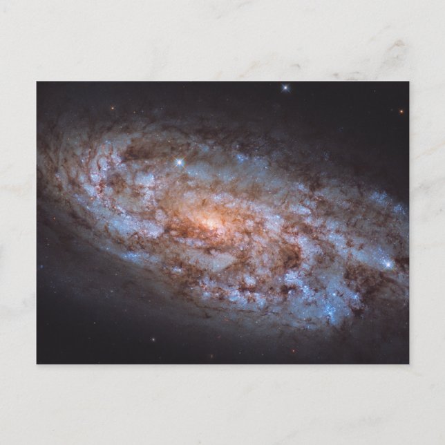 The Stellar Forge Postcard (Front)