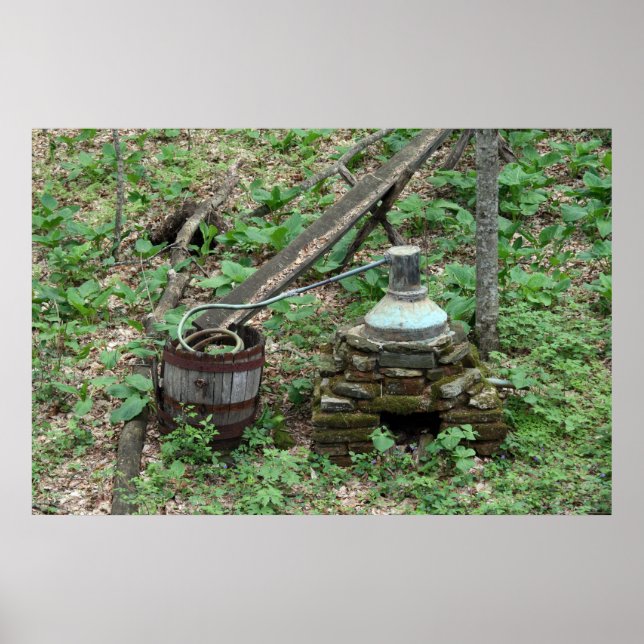 The Still 1 Poster (Front)