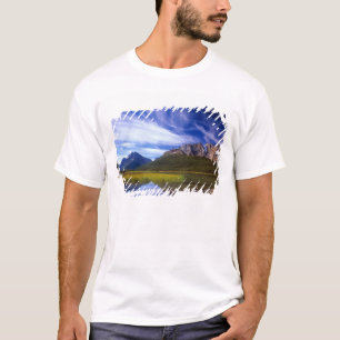 The still waters of Waterfowl Lake make a T-Shirt