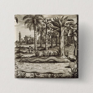 The Stone Snake, from 'China Illustrated' by Athan 15 Cm Square Badge