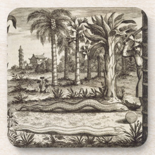 The Stone Snake, from 'China Illustrated' by Athan Coaster