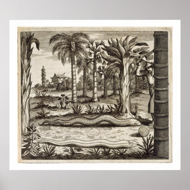 The Stone Snake, from 'China Illustrated' by Athan Poster (Front)