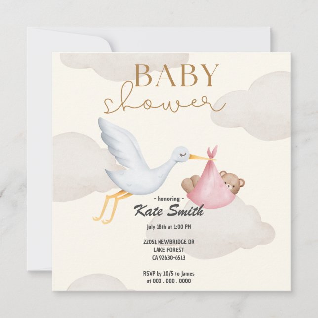 THE STORK BRINGS A BABY Baby Shower Invitation (Front)