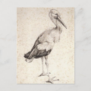 The Stork by Albrecht Durer Postcard