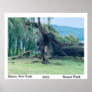 THE STORM STUART PARK 2021  POSTER