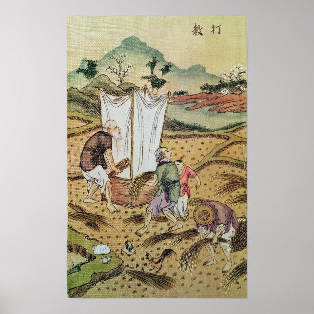 The Story of Rice Poster (Front)