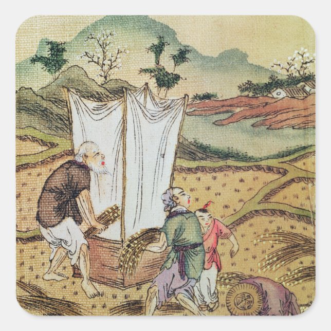 The Story of Rice Square Sticker (Front)