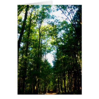 The Straight and Narrow