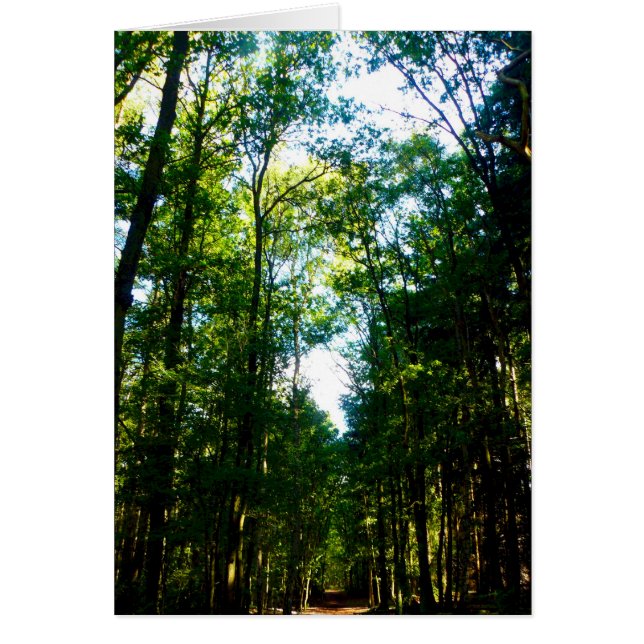 The Straight and Narrow (Front)