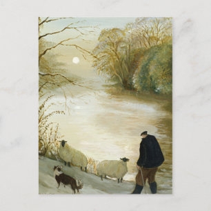The Stray Sheep Postcard