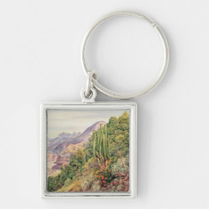 The Streams of Languenas in the Cordellera, Chile Key Ring