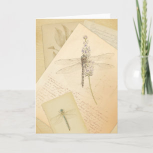 The Study of Dragonflies Card