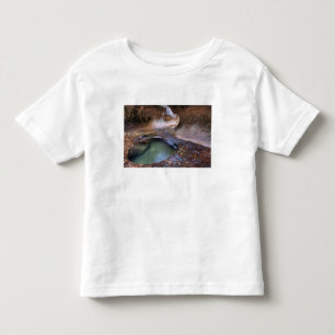 The Subway along the Left Fork of the Virgin 2 Toddler T-Shirt