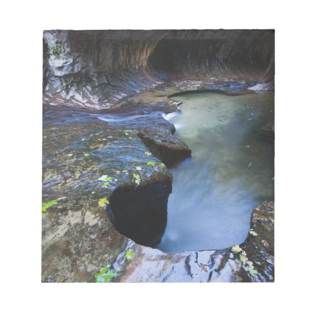 The Subway slot canyon Notepad (Front)