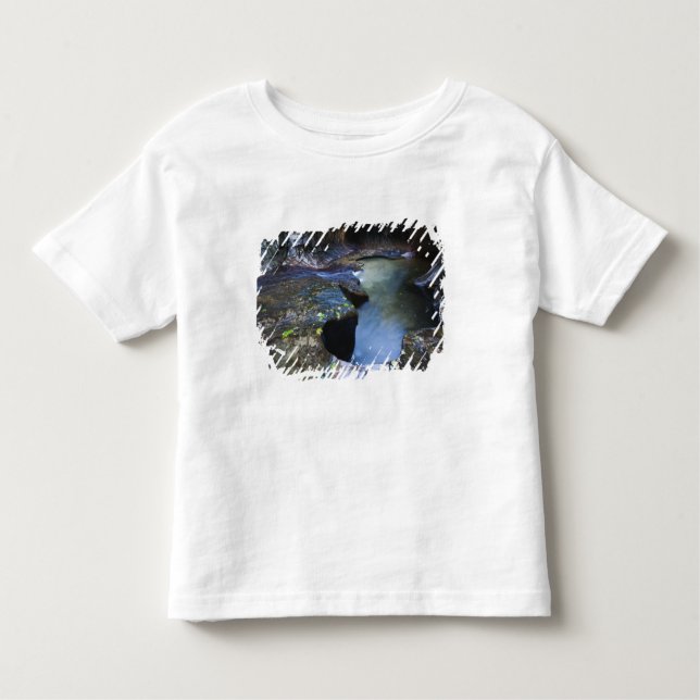 The Subway slot canyon Toddler T-Shirt (Front)
