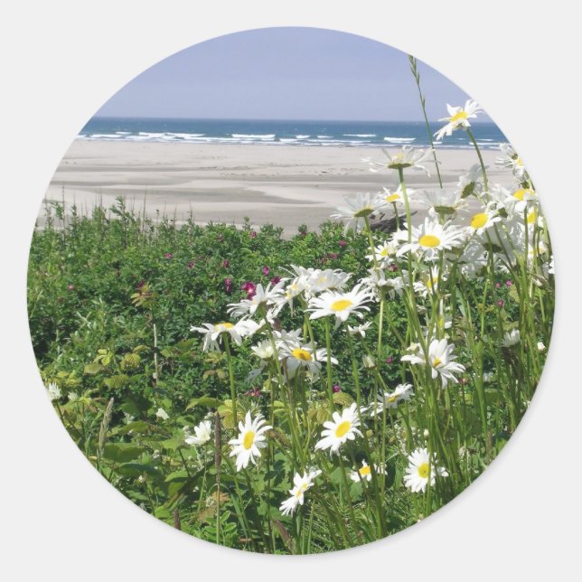 "The Summer Ocean Daisy" Classic Round Sticker (Front)