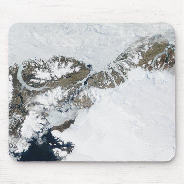 The summer thaw mouse pad (Front)