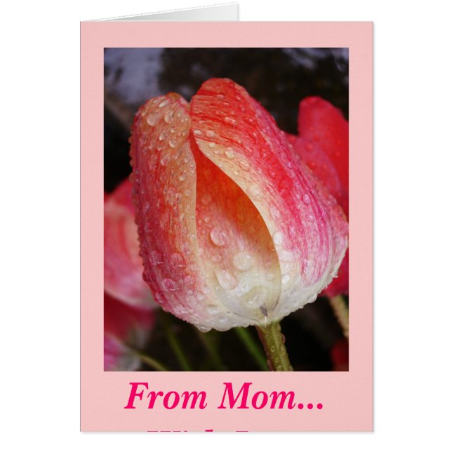 The Sun Comes Out, From Mum... With Love (Front)