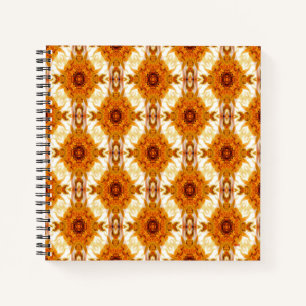 The Sun Galaxy... Notebook
