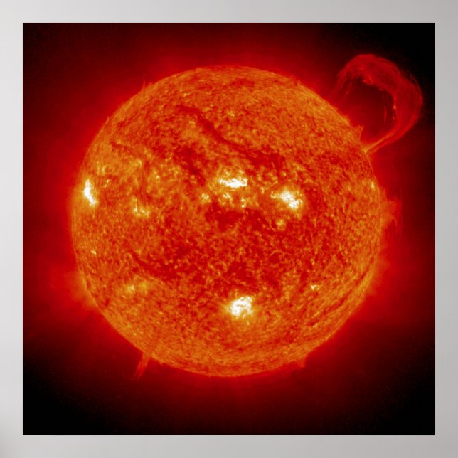 The Sun Poster (Front)