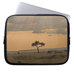 The sun rays lasering through the afternoon laptop sleeve