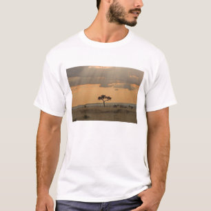 The sun rays lasering through the afternoon T-Shirt
