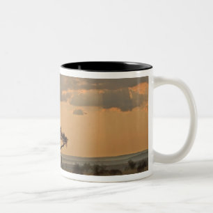 The sun rays lasering through the afternoon Two-Tone coffee mug