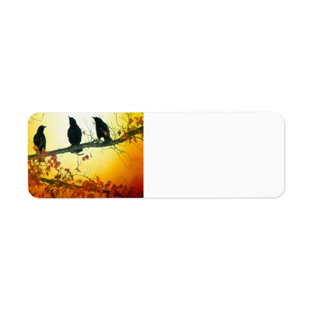 The Sun Rises Return Address Label (Front)