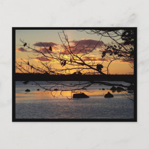 The Sun Sets on a Fall Day Postcard