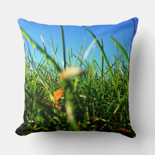 The Sunflower Grass Pill Cushion (Front)