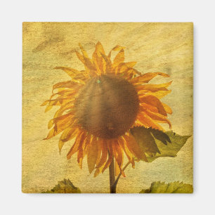 The Sunflower Magnet