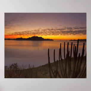 The sunrise over Isla Danzante in the Gulf of 2 Poster