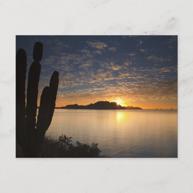 The sunrise over Isla Danzante in the Gulf of Postcard (Front)