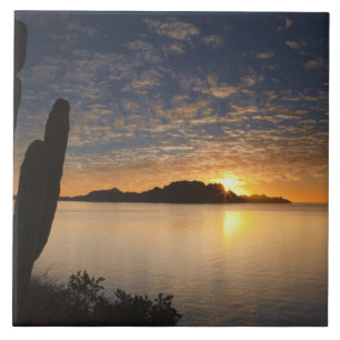 The sunrise over Isla Danzante in the Gulf of Tile