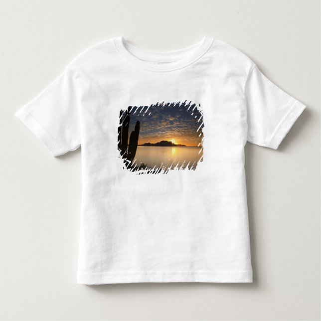 The sunrise over Isla Danzante in the Gulf of Toddler T-Shirt (Front)