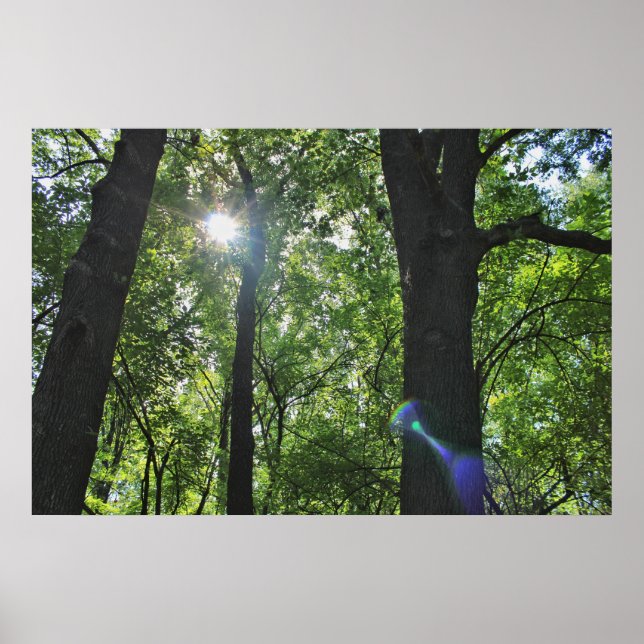 The Sunshine Bubble Poster (Front)