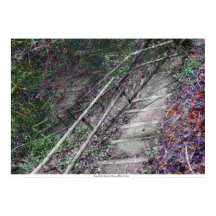 The Superficial Stair by Rowan Blair Colver