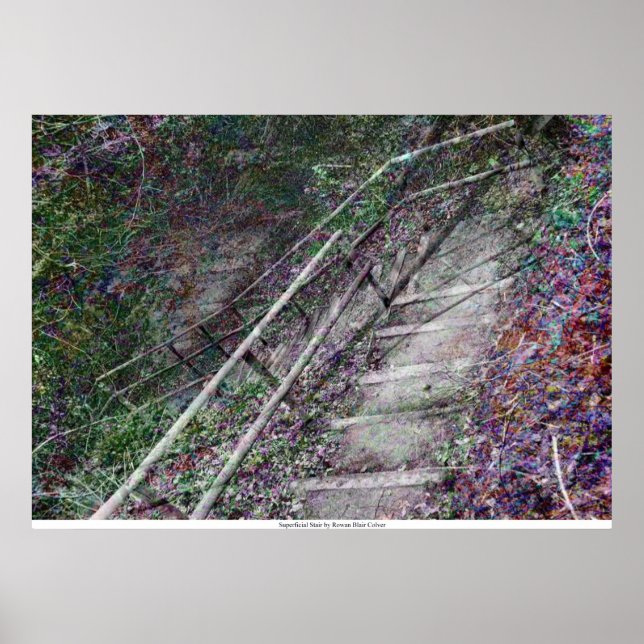 The Superficial Stair by Rowan Blair Colver Poster (Front)