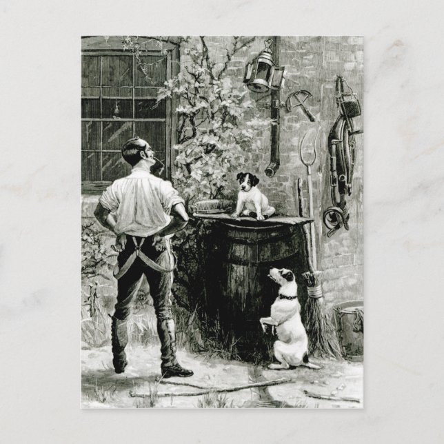 The Survival of the Fittest Postcard (Front)