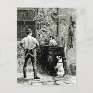 The Survival of the Fittest Postcard