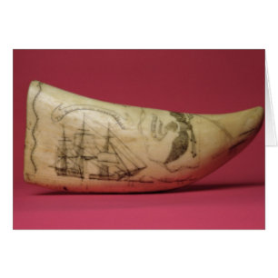 The Susan on the coast of Japan' Scrimshaw