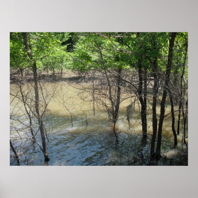 The Swamp Poster (Front)