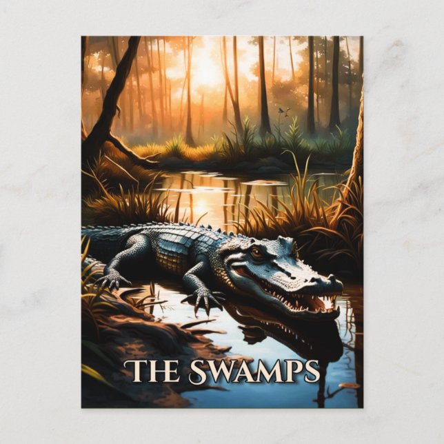 The Swamps Postcard (Front)