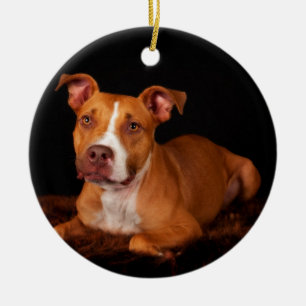 The Sweet Pitty Ceramic Ornament