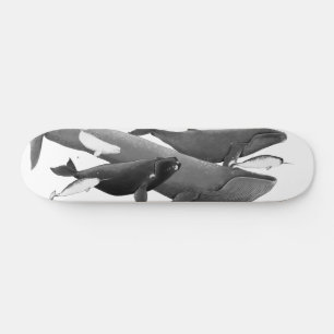 The Swim Of Whales Illustration Art Whale  Skateboard