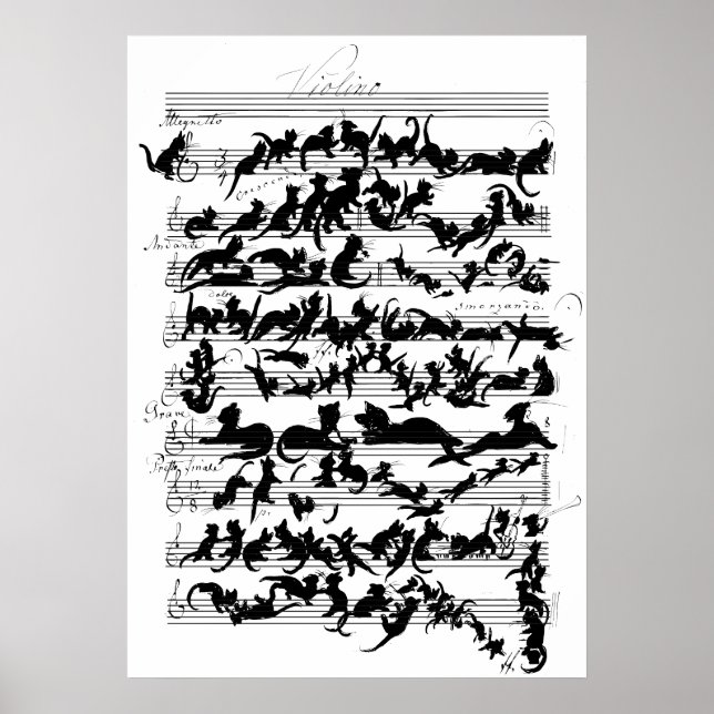 The Symphony of the Cat Vector Poster (Front)
