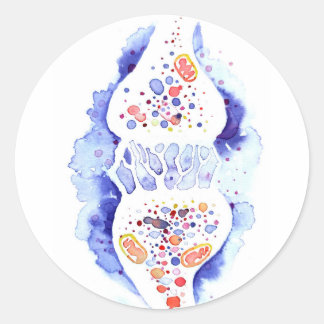 The synapse and the nerve impulse canvas print rou classic round sticker