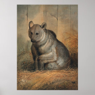 The Syrian Bear by Joseph Wolf Poster